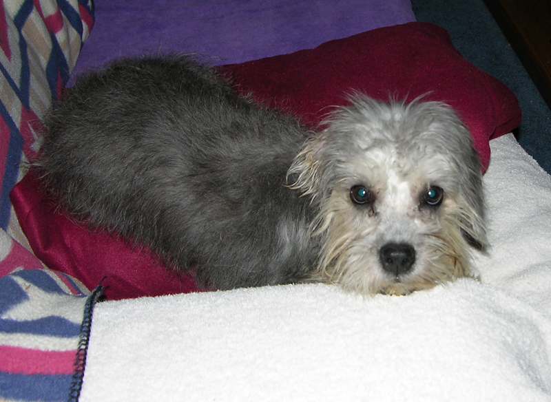 sophie settled in